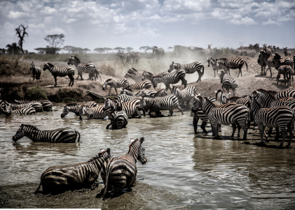 footer-widget-gallery