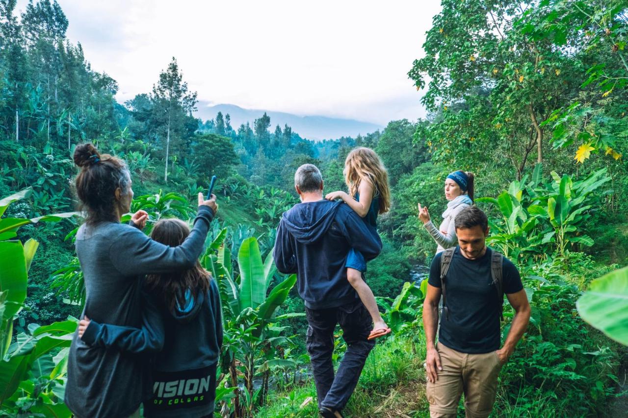 Banana Farm Eco Hostel