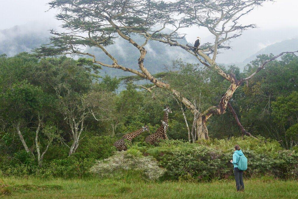 Arusha National Park