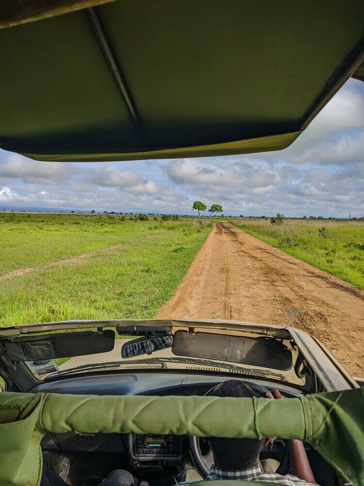 Mikumi Wildlife Safari