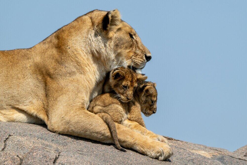 listing-details-carousel