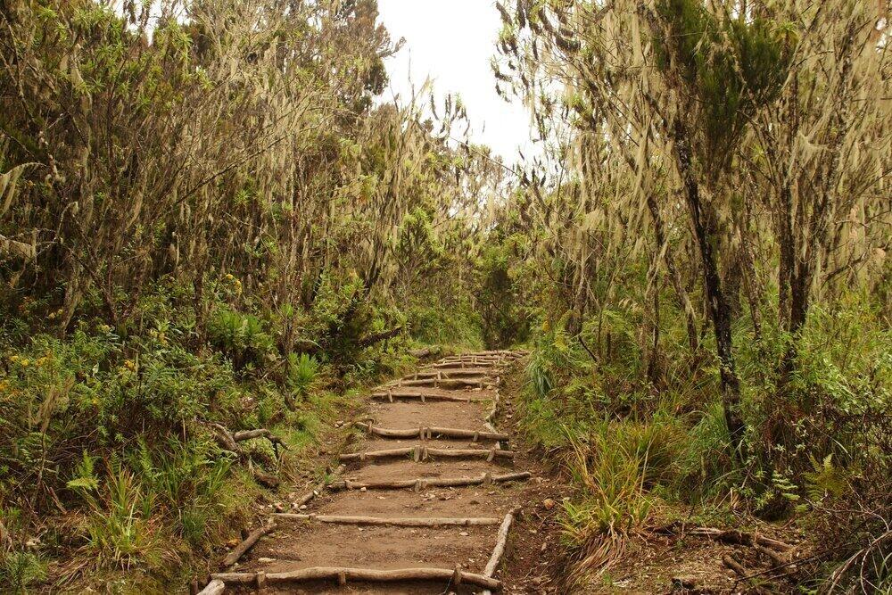 listing-details-carousel