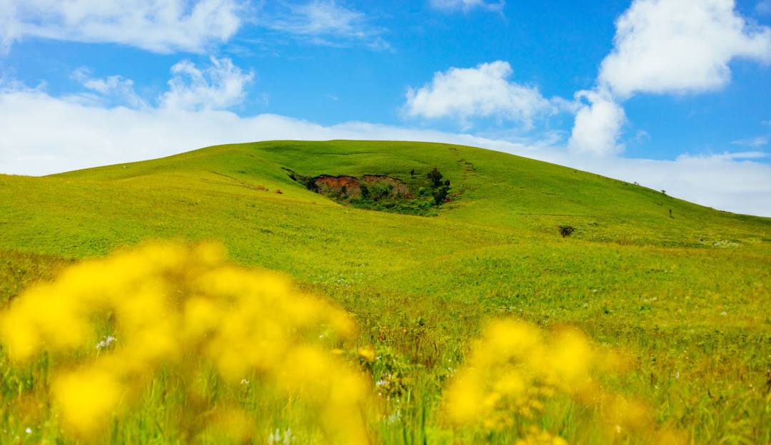 Kitulo National Park